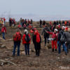 Demonstranten in roter Kleidung in einem Stück abgeholztem Wald
