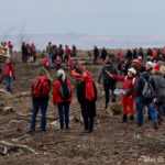 Demonstranten in roter Kleidung in einem Stück abgeholztem Wald