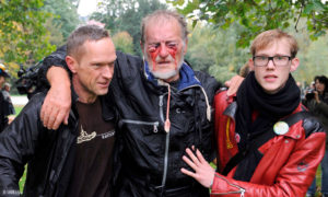 Bild von einer Demonstration gegen Stuttgart 21, die Verletzte forderte