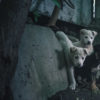 Filmstill aus 