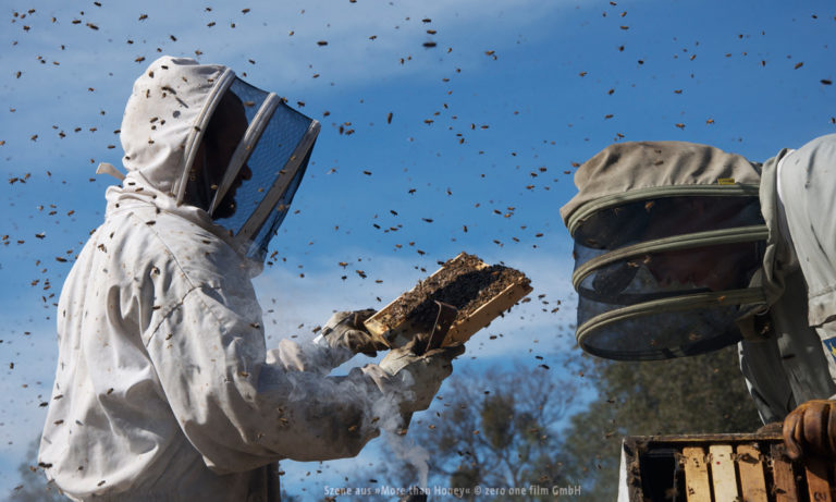 Imker mit Bienenstock