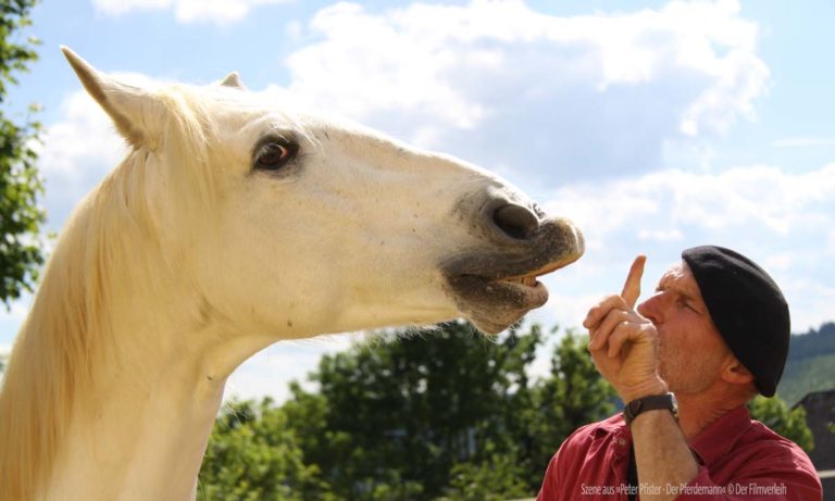 Bild von Mann mit weißem Pferd