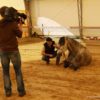 Mann mit liegendem Pferd