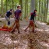 Festmahl der Tiere: Bild mehrerer Personen im Wald mit einem Tierkadaver