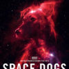 Filmplakat zu 
