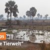TV-Tipps KW 4 Haus des Dokumentarfilms 