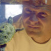 Weltweit bekannter Schildkrötenexperte Peter Praschag in „Turtle Hero – Ein Leben für die Schildkröten“
