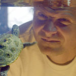 Weltweit bekannter Schildkrötenexperte Peter Praschag in „Turtle Hero – Ein Leben für die Schildkröten“