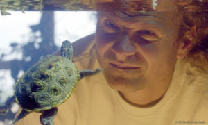 Weltweit bekannter Schildkrötenexperte Peter Praschag in „Turtle Hero – Ein Leben für die Schildkröten“