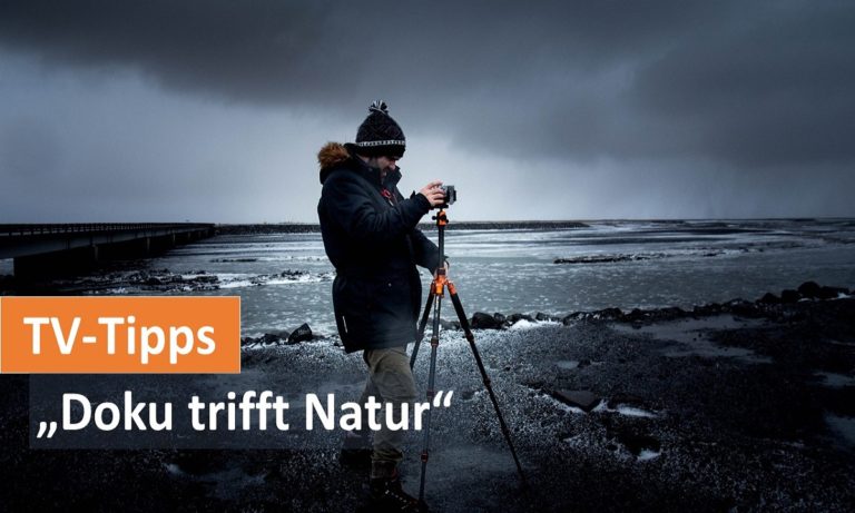 TV Tipps Haus des Dokumentarfilms Doku Natur