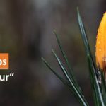 TV-Tipps Haus des Dokumentarfilms zum Thema Natur