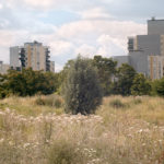 Berlinale 2021, Encounters: Filmstill aus