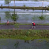 Moving Upstream Ganga