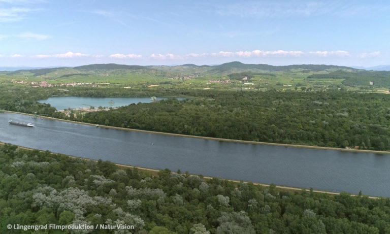 Filmstill aus "Der unsichtbare Fluss" © Längengrad Filmproduktion / NaturVision