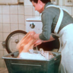 Rollenbild der Frau in den 50ern