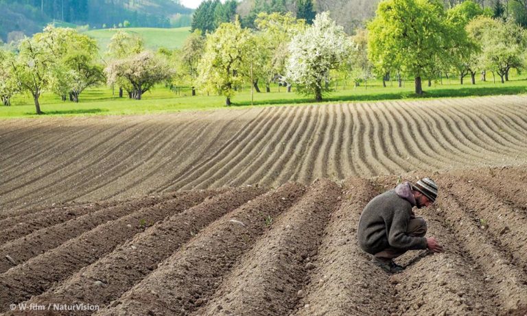 Filmstill aus "Unser Boden, unser Erbe" © W-film / Tisda Media