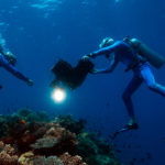 Kino Dokumentarfilm Wonders Of The Sea