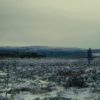Filmstill Feld in Landschaft 