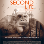 Filmplakat zu