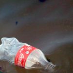 Plastikflasche im Wasser