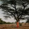 Waldmacher Ablaye Cissoko mit Baum
