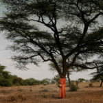 Waldmacher Ablaye Cissoko mit Baum