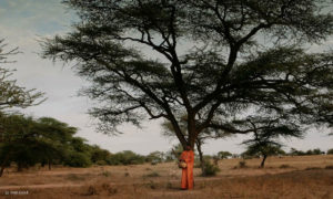 Waldmacher Ablaye Cissoko mit Baum