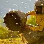 Imkerin mit Bienen