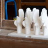 Taubenproduktion Meissen