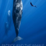 Plakat PATRICK AND THE WHALE © Terra Mater Studios