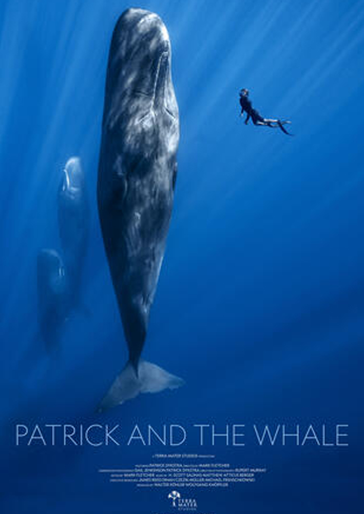 Plakat PATRICK AND THE WHALE © Terra Mater Studios
