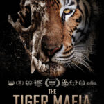 Plakat THE TIGER MAFIA © Hook Film