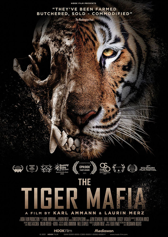 Plakat THE TIGER MAFIA © Hook Film