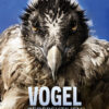 Plakat VOGELPERSPEKTIVEB © If Productions Film