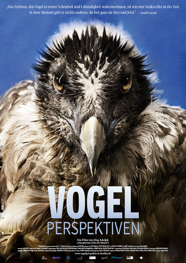 Plakat VOGELPERSPEKTIVEB © If Productions Film