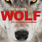Plakat WOLF © Ispida Wildlife Productions