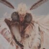 Die toten Vögel sind Oben