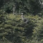 Die toten Vögel sind Oben