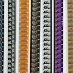 16 mm Streifen (Foto: LFS)