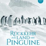 Filmplakat