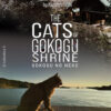 Plakat GOKOGU NO NEKO/THE CATS OF GOKOGU SHRINE by Laboratory X