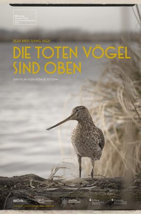 Filmplakat „Die toten Voegel sind oebn